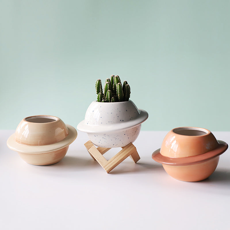 Cute Ceramic Succulent Flowerpot for Home Decoration